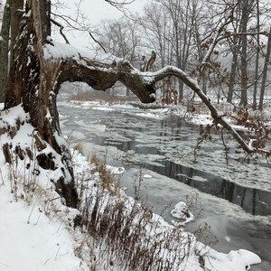 Meet your Posher, Dianne